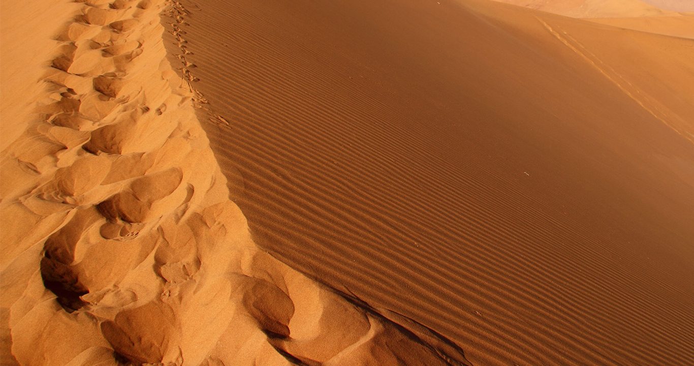 Namibie 2023