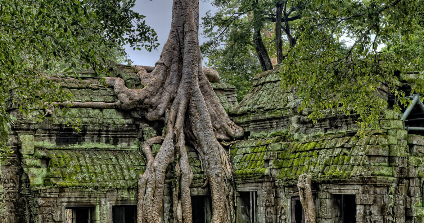 Cambodge avec sa tribu