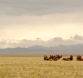 Mongolie_desert-de-gobi