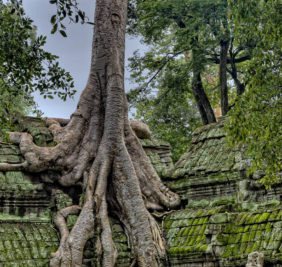 Laos-Cambodge_angkor
