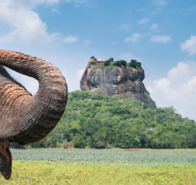 Sri-Lanka_Sigiriya