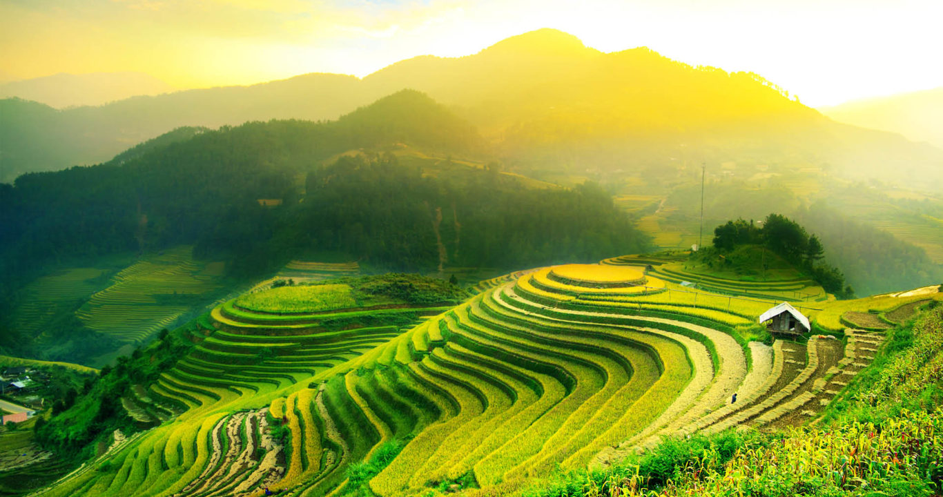 Vietnam et Cambodge 2020