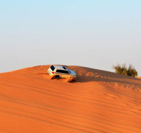 Emirats-oman_wahiba