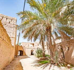 Oman_Niswa