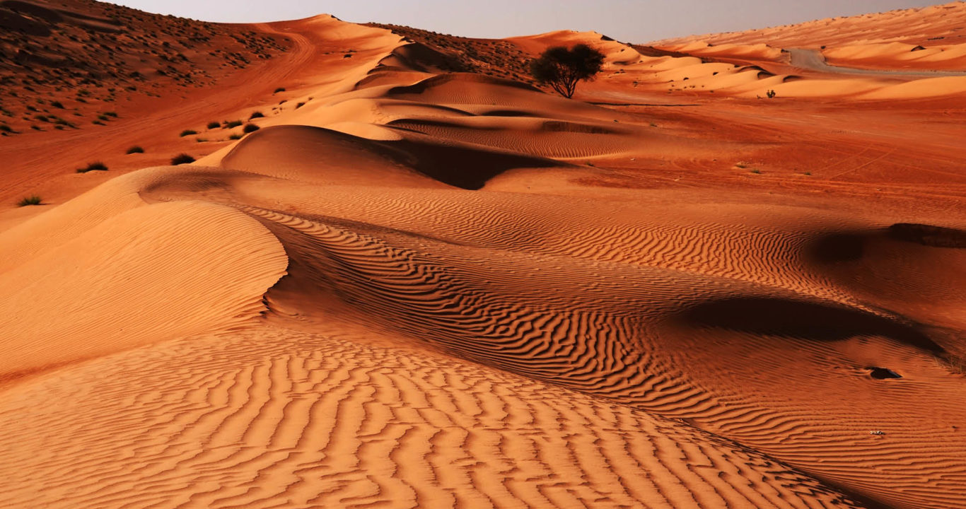 Emirats et Oman 2020