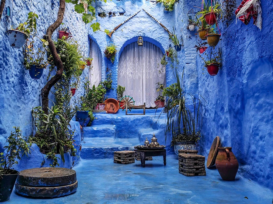 Galerie image 5