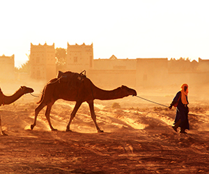 2026 - Maroc, villes impériales de Casablanca à Casablanca