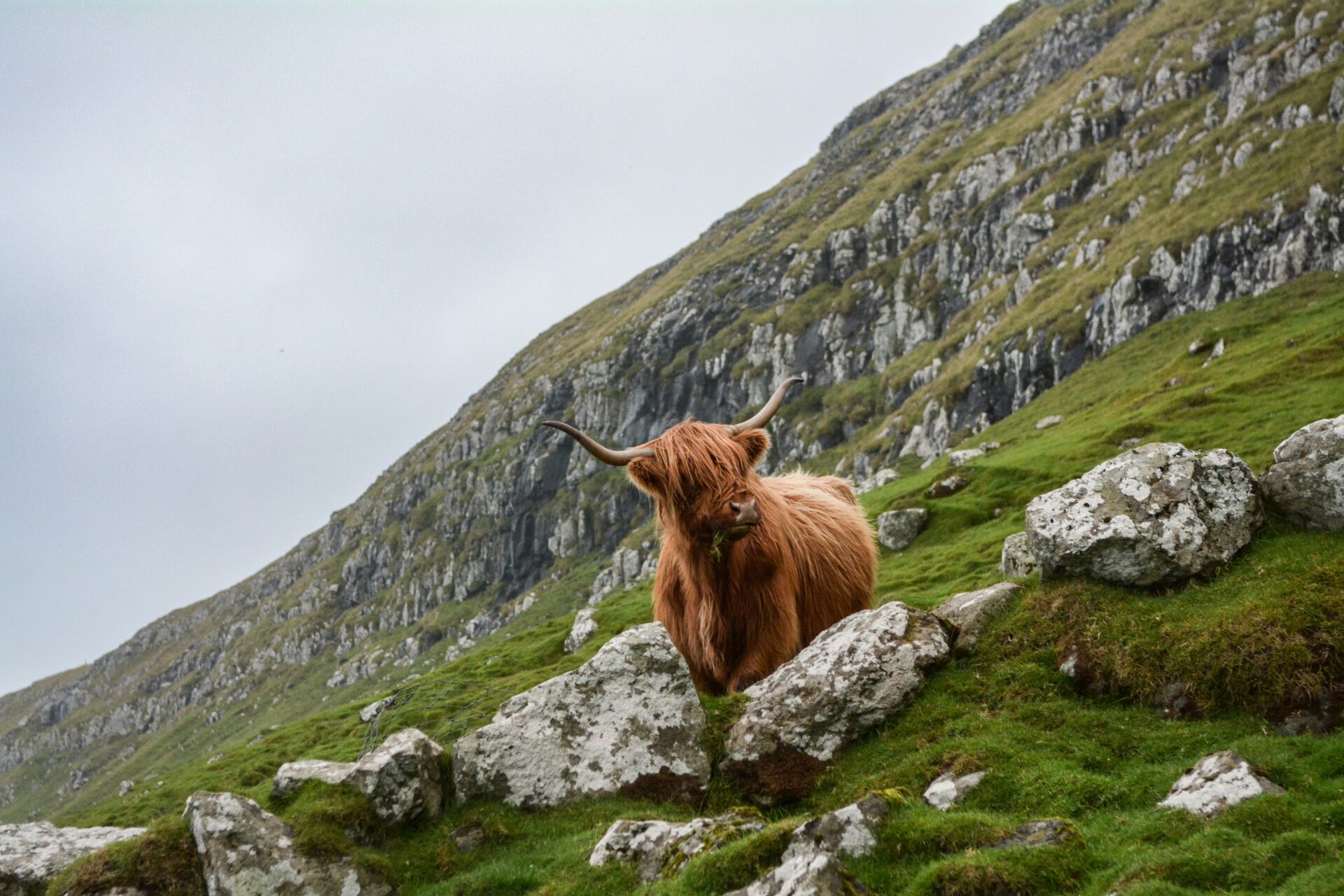 2027 - Ecosse, Irlande & Angleterre 